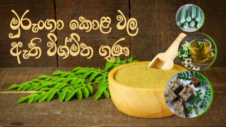 මුරුංගා කොළ වල ඇති විශ්මිත ගුණ (Amazing Properties Of Moringa Leaves)