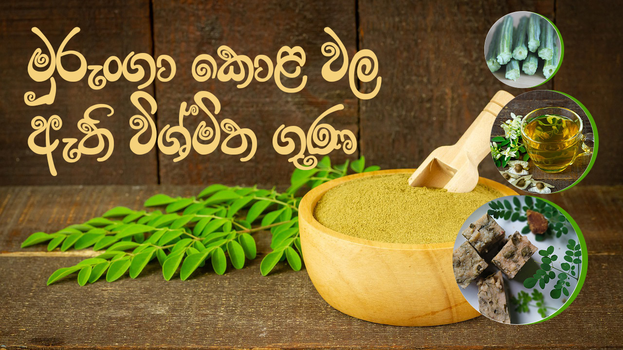 Amazing Properties Of Moringa Leaves