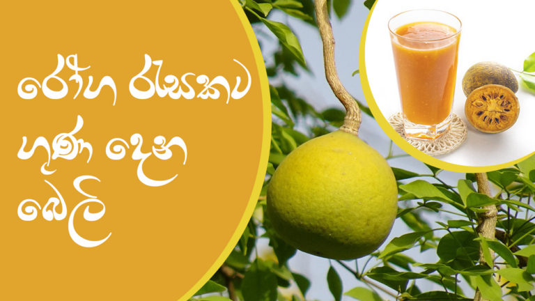 රෝග රැසකට ගුණ දෙන බෙලි (Belly Is Good For Many Diseases)