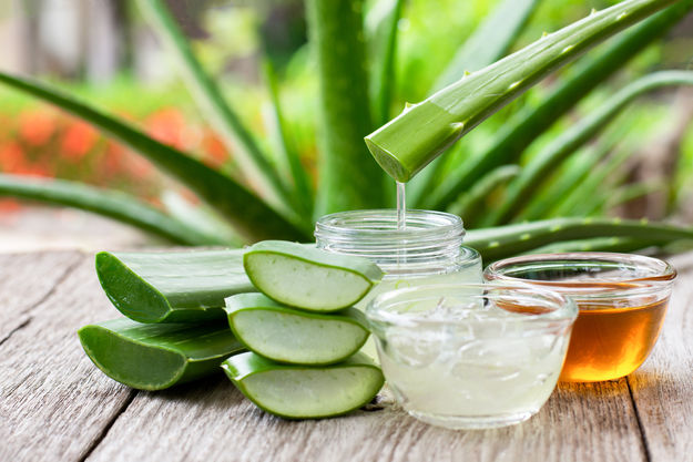 රුව රැක ගැනීමට කෝමාරිකා /Aloe Vera