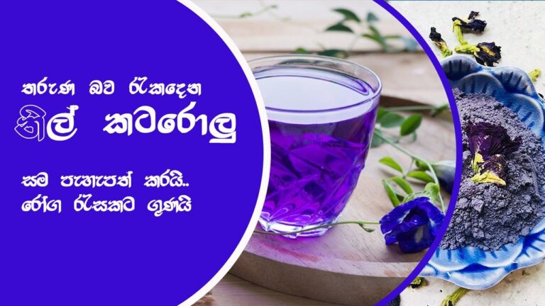 තරුණ බව රැකදෙන නිල් කටරොලු | සම පැහැපත් කරයි..රෝග රැසකට ගුණයි | Butterfly Pea Flower | Nil Katarolu