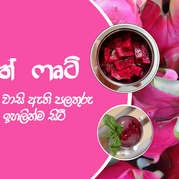 #dragonfruit / සෞඛ්‍යමය වාසි ඇති පලතුරු ලැයිස්තුවේ ඉහලින්ම සිටී..#healthbenefits