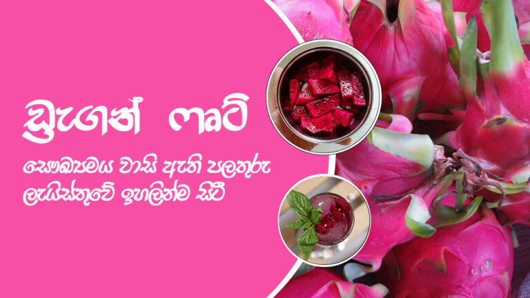 #dragonfruit / සෞඛ්‍යමය වාසි ඇති පලතුරු ලැයිස්තුවේ ඉහලින්ම සිටී..#healthbenefits