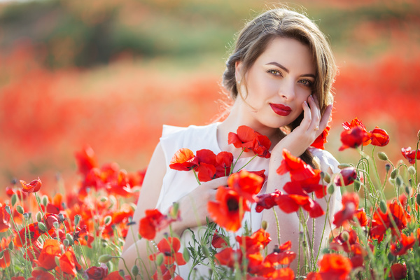 Poppy flower field beautiful girl HD picture 04